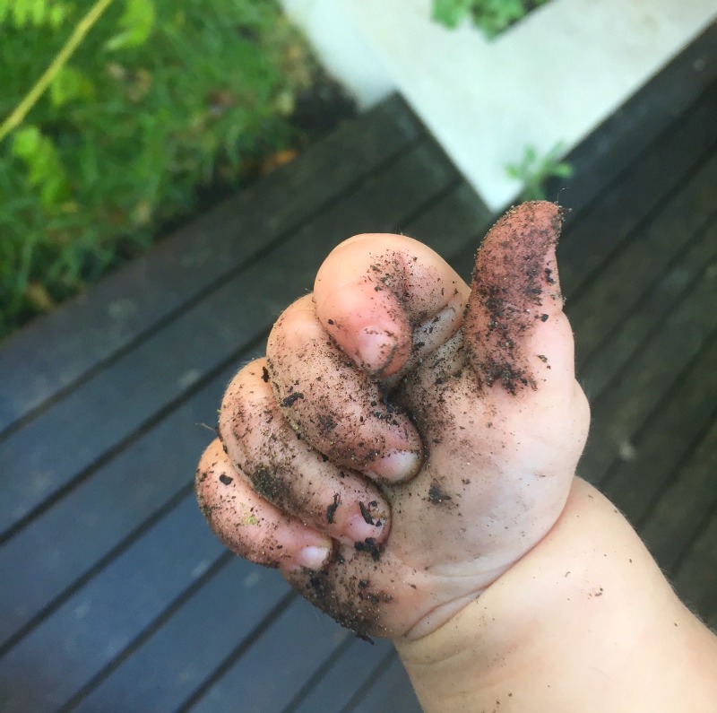 should-kids-eat-dirt-balanced-baby